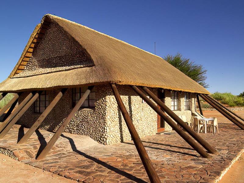 Twee Rivieren Rest Camp  |  Twee Rivieren Rest Camp / Chamleon