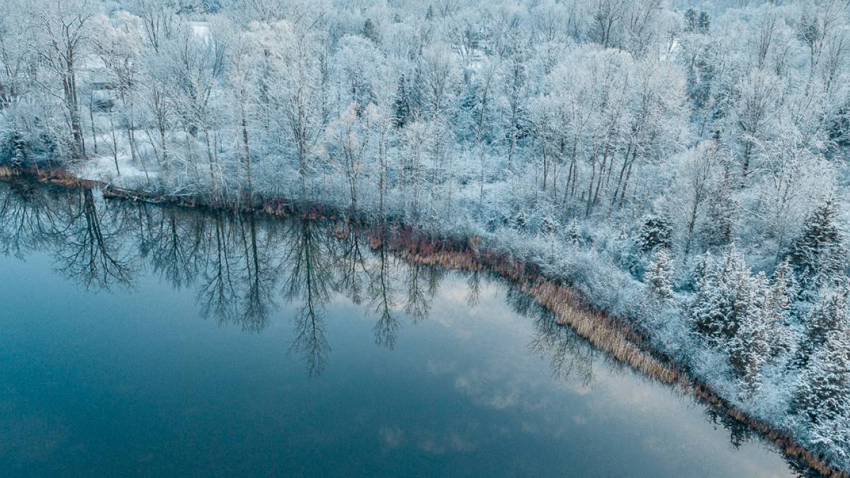 Inarisee |  Aaron  Burden, Unsplash / Chamleon