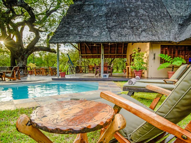Needles Safari Lodge  |  Needles Safari Lodge / Chamleon