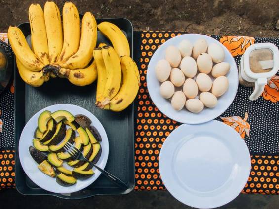 Slowfood |  Luckson Rugah, Wondergarden / Chamleon