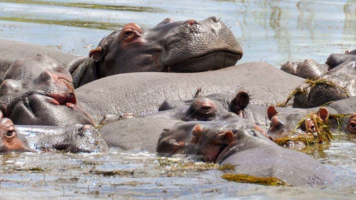 Entspannung im Hippo-Pool | © Kirsten Vogt / Chamäleon Entspannung im Hippo-Pool | © Kirsten Vogt / Chamäleon