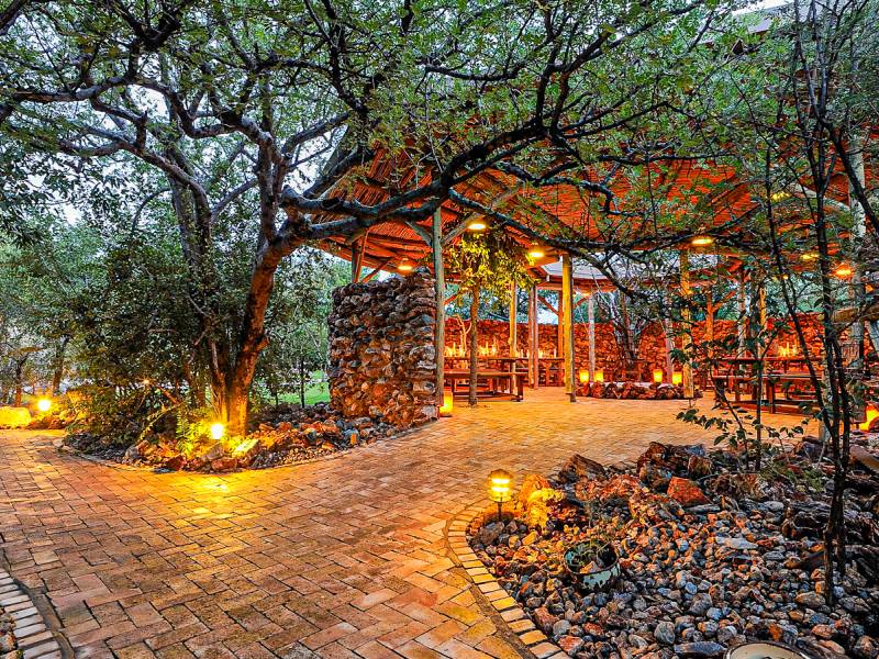 Etosha Village |  Etosha Village / Chamleon