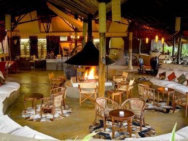 Mbweha Safari Camp  |  Mbweha Safari Camp / Chamleon