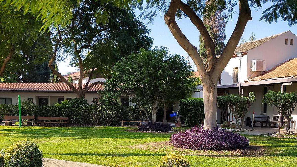 Kibbutz Degania Bet |  Kibbutz Degania Bet / Chamleon