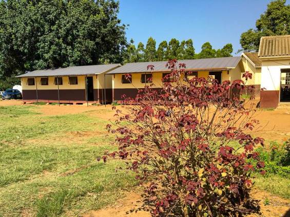 Glen Park Schule |  Luisa Buck / Chamleon