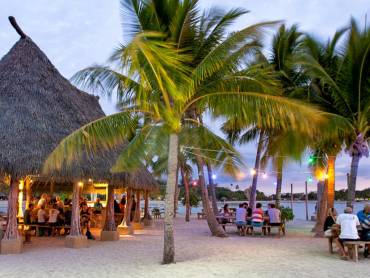Musket Cove Island Resort  |  Musket Cove Island Resort  / Chamleon