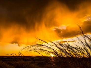 Leuchtendes Sandmeer |  Hannes Schleicher / Chamleon