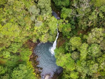 Regenwald |  Alfonso Tandazo, Surtrek / Chamleon