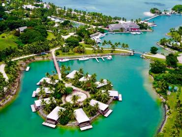 Musket Cove Island Resort  |  Musket Cove Island Resort  / Chamleon