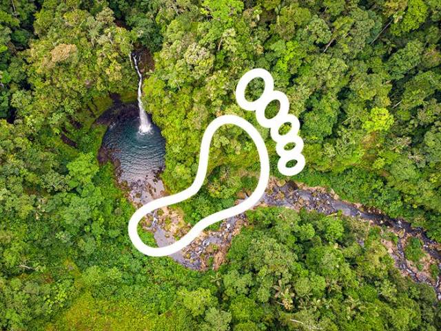 Wasserfall im Regenwald |  Alfonso Tandazo / Chamleon
