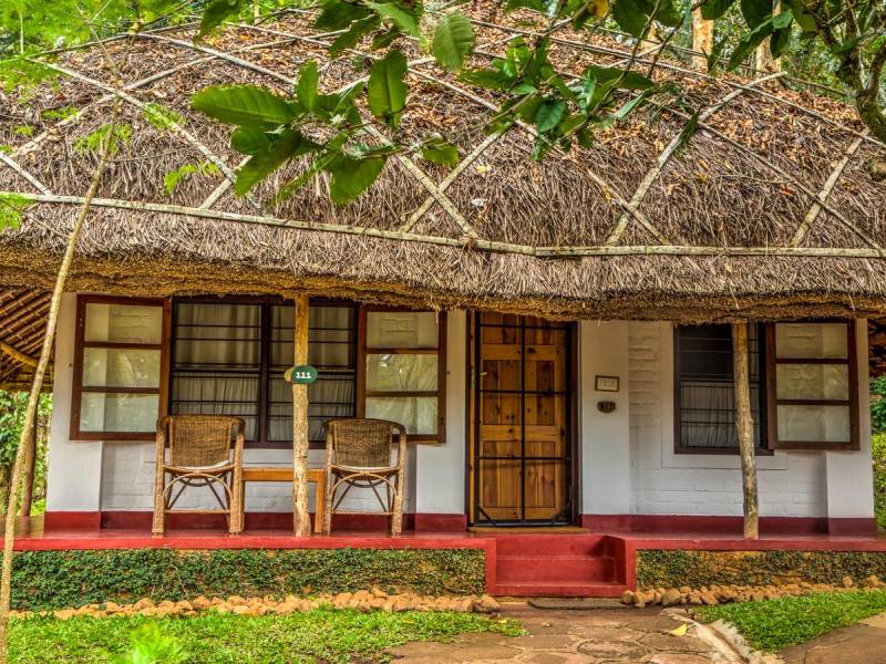 Spice Village |  Spice Village / Chamleon