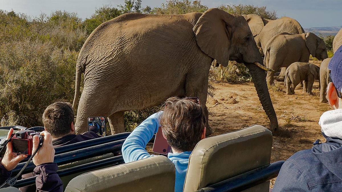 Fotos auf Safari | © Claudia Exner / Chamäleon Fotos auf Safari | © Claudia Exner / Chamäleon