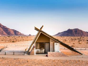 Desert Quiver Camp |  Xenia Ivanoff-Erb, Desert Quiver Camp / Chamleon