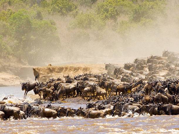 Migration |  iStockphoto / kaphotokevm1