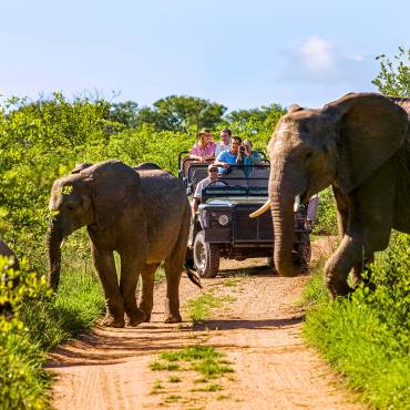 Elefanten ?berqueren die Stra?e, im Hintergrund ein Jeep |  IPGGutenbergUKLtd, iStockphoto.com / Chamleon