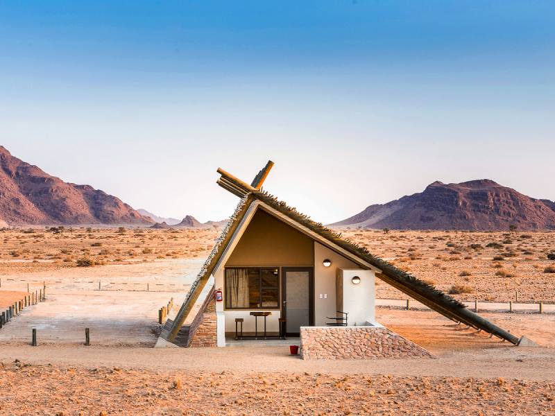 Desert Quiver Camp |  Xenia Ivanoff-Erb, Desert Quiver Camp / Chamleon