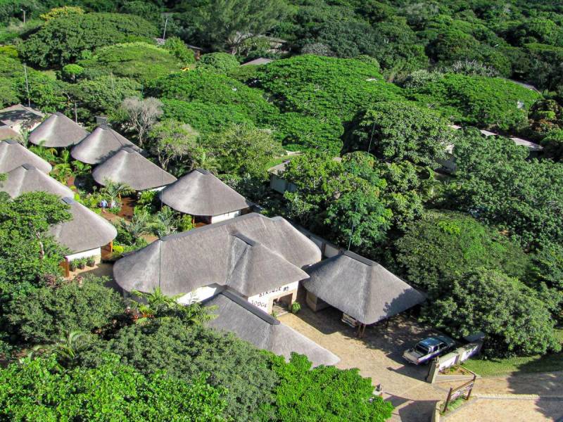 Lodge Afrique |  Lodge Afrique / Chamleon