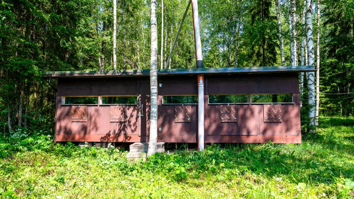 Brenhtte |  Brenhtte, Baltic Vitalis / Chamleon