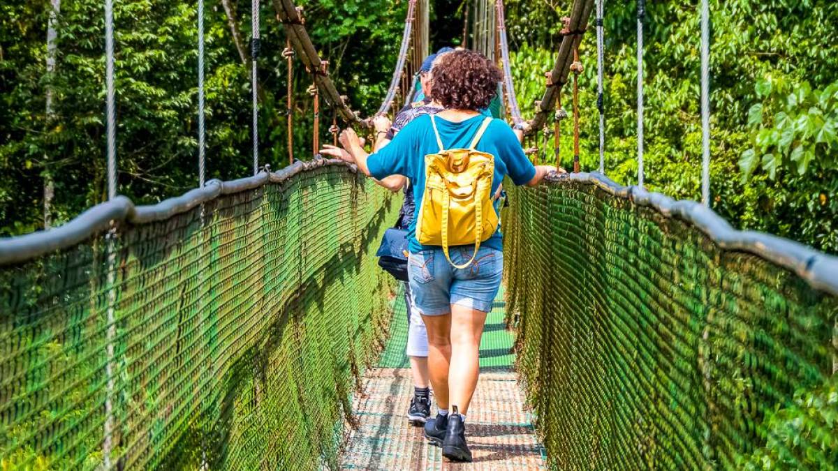 Hängebrücke im Monteverde-Nebelwaldreservat | © Christian Hergenröther / Chamäleon Hängebrücke im Monteverde-Nebelwaldreservat | © Christian Hergenröther / Chamäleon