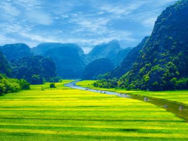 Reisfeld und Fluss
