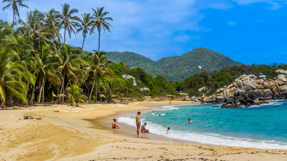 Tayrona-Region | © Levi Ari Pronk , Unsplash / Chamäleon Tayrona-Region | © Levi Ari Pronk , Unsplash / Chamäleon