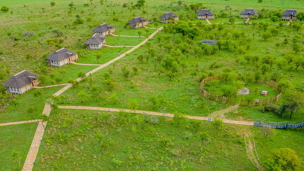 Serengeti Safari Lodge  |  Serengeti Safari Lodge / Chamleon