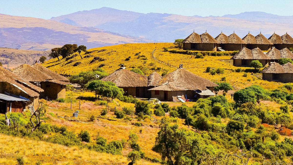 Simien Lodge |  Nick Crane, Simien Lodge / Chamleon