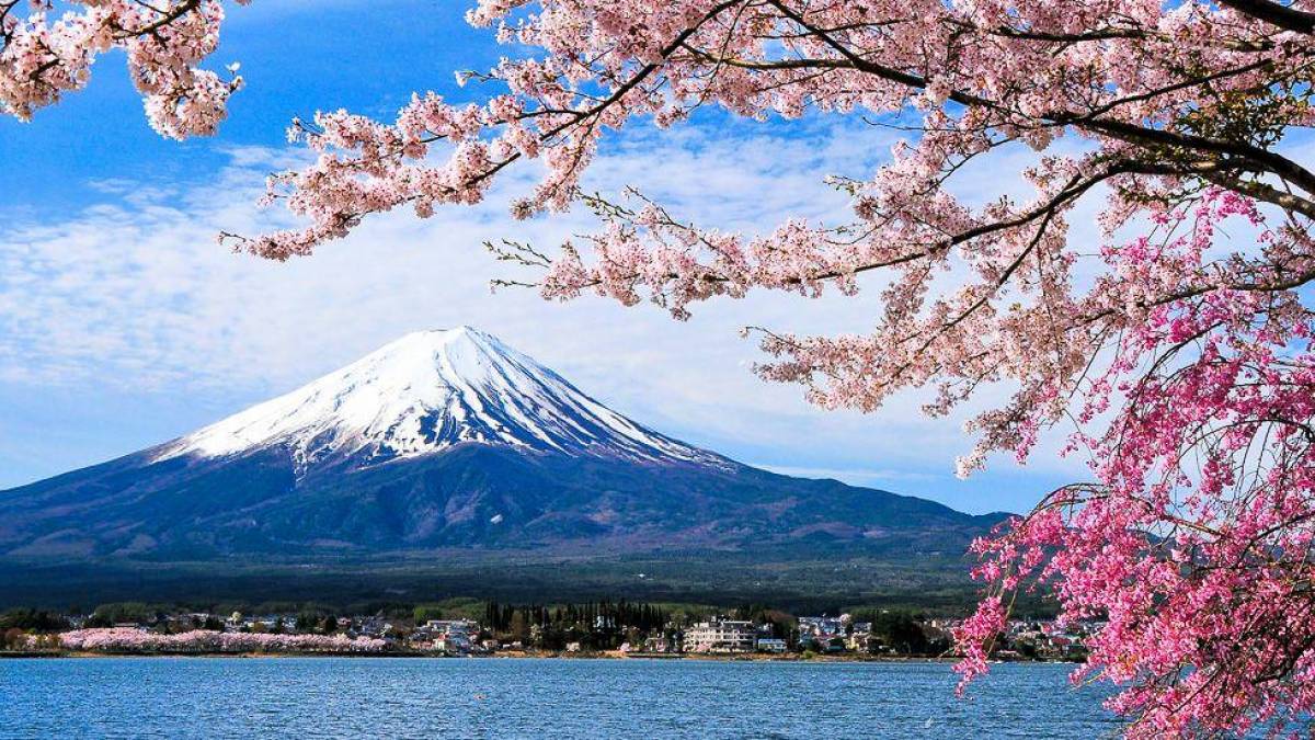 Mount Fuji und Kirschbaum | © Goryu, iStockphoto.com / Chamäleon Mount Fuji und Kirschbaum | © Goryu, iStockphoto.com / Chamäleon