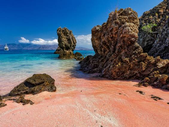 Pink Beach |  Takahashi Miyazaki, Unsplash / Chamaeleon