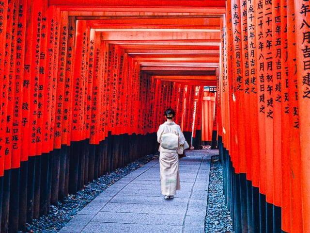 Inari Thaisha |  Leon Pendragon, Pixabay / Chamleon