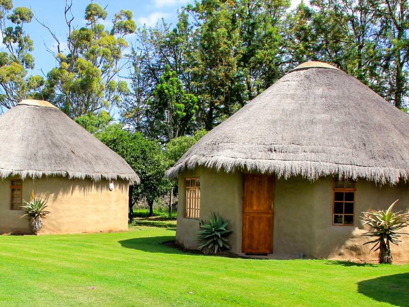 Chrislin African Lodge |  Chrislin African Lodge / Chamleon