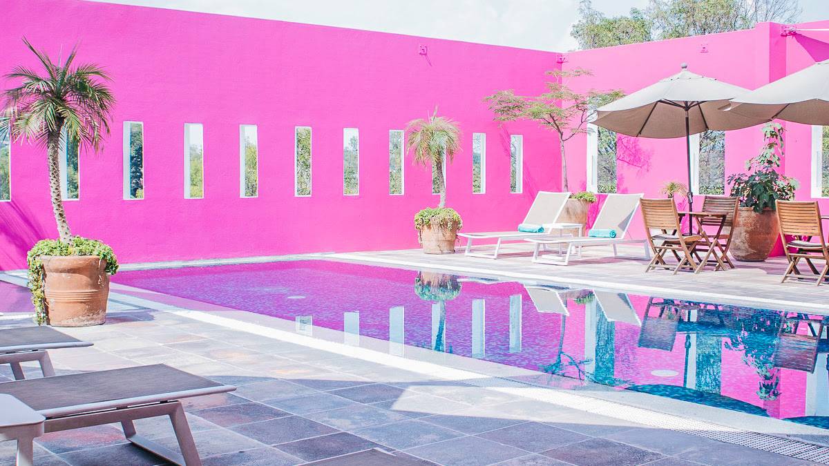 Casareyna |  Casareyna / Chamleon