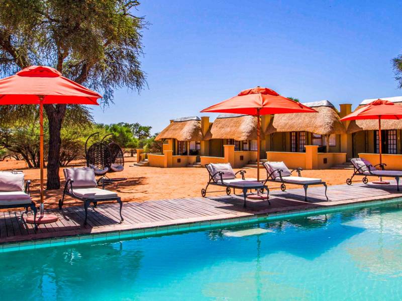 Zebra Kalahari Lodge |  Zebra Kalahari Lodge / Chamleon