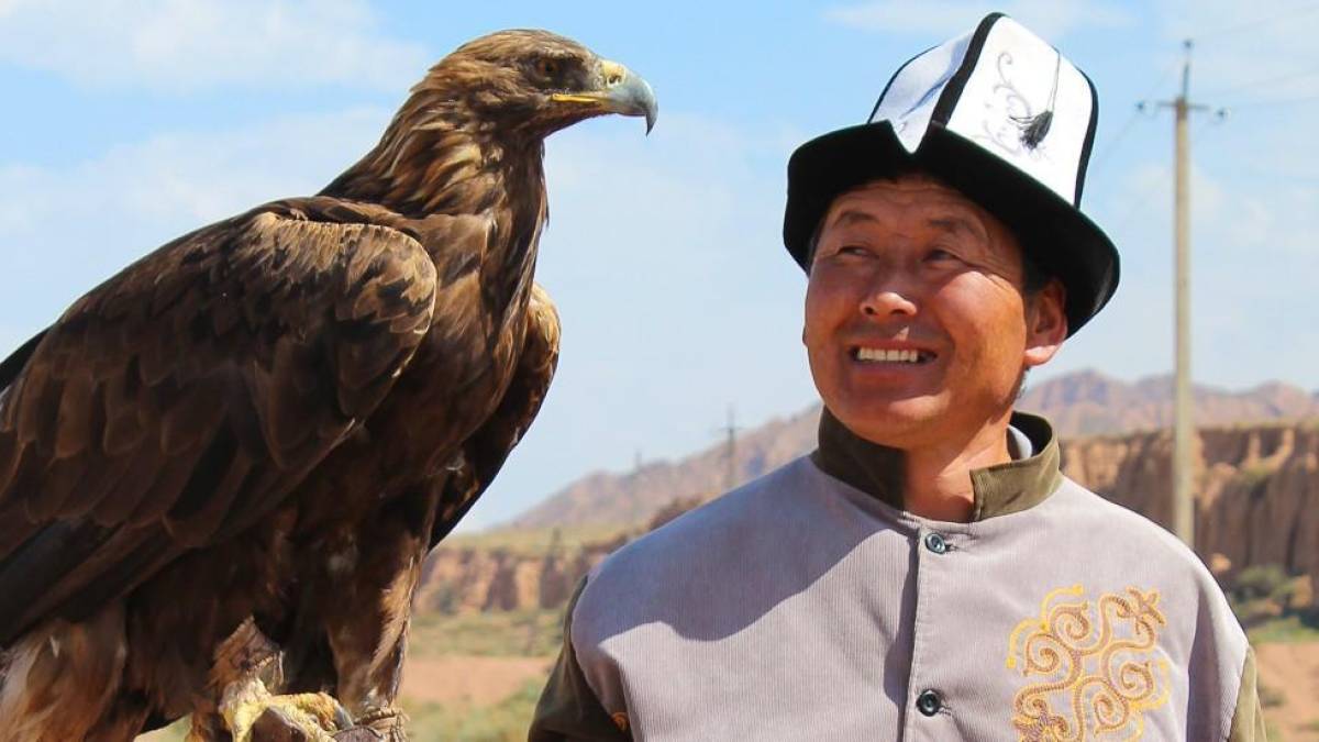 Jagdvogel-Vorführung | © Novi Nomad / Chamäleon Jagdvogel-Vorführung | © Novi Nomad / Chamäleon