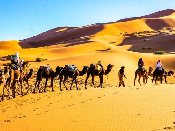 Kamelritt durch die Sandberge des Erg Chebbi | © Claudia Exner / Chamäleon Kamelritt durch die Sandberge des Erg Chebbi | © Claudia Exner / Chamäleon