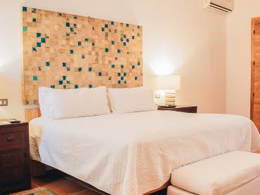 Casareyna |  Casareyna / Chamleon