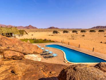 Desert Quiver Camp |  Desert Quiver Camp / Chamleon