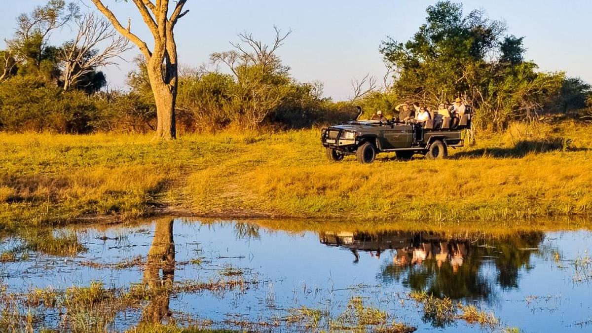 safari namibia botswana simbabwe