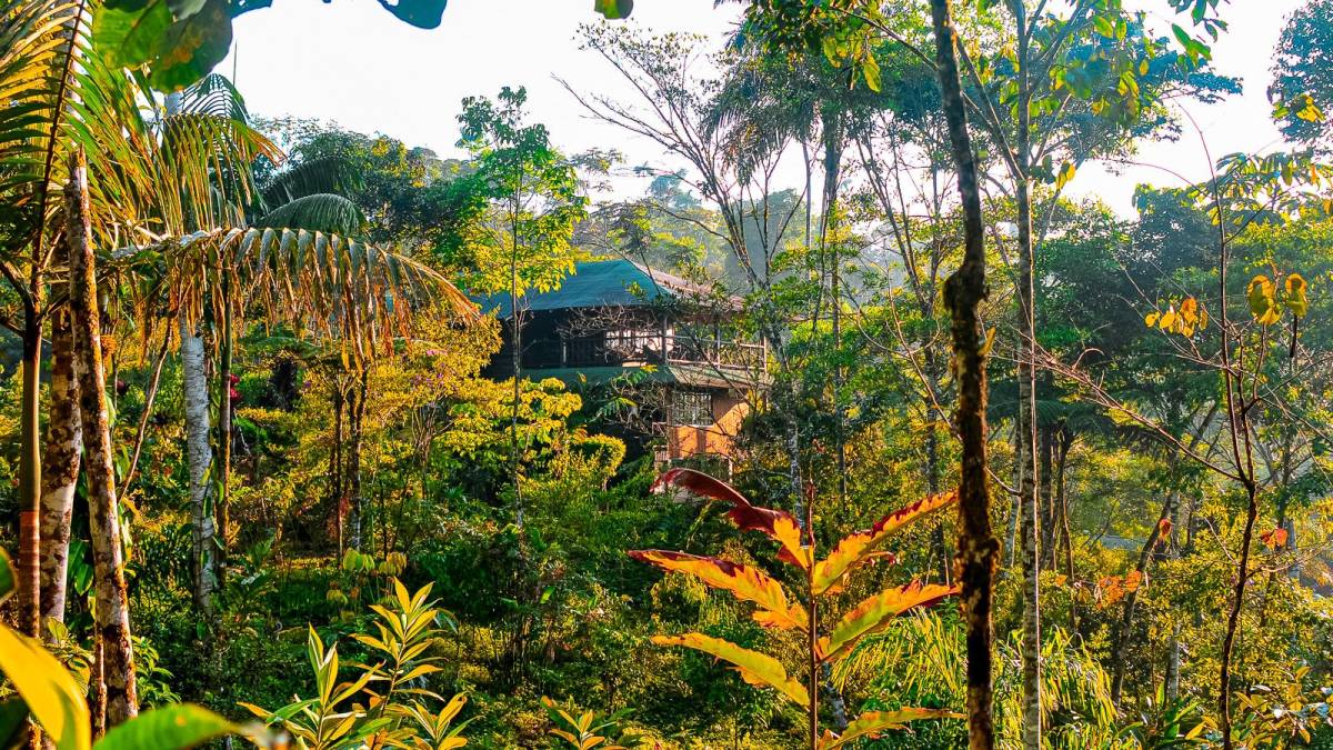 Regenwaldlodge Las Cascadas | © Chamäleon