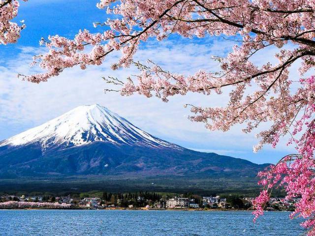 Mount Fuji und Kirschbaum |  Goryu, iStockphoto.com / Chamleon