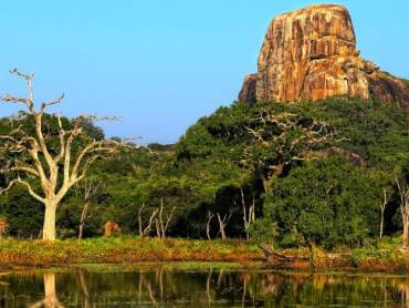 Die ruhige Natur im Yala-Nationalpark |  Natasha Yurova, Unsplash.com / Chamleon