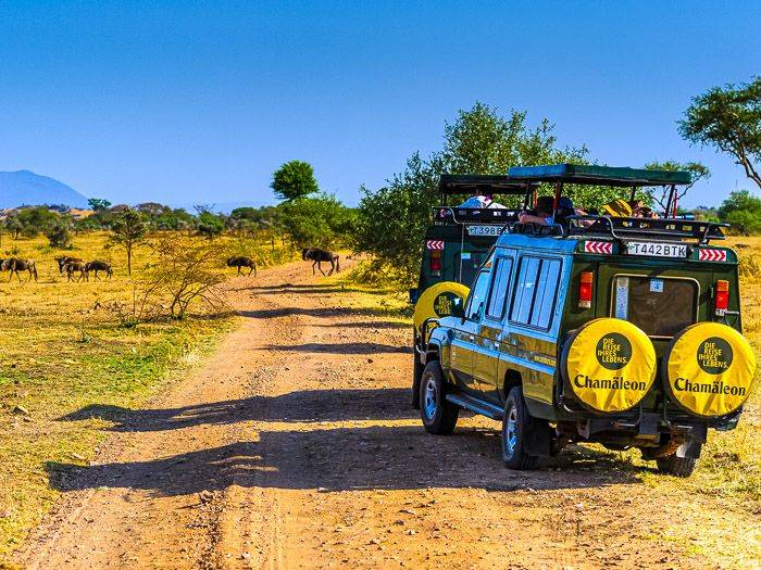 Safari in Tansania |  Kai-Uwe Kchler / Chamleon