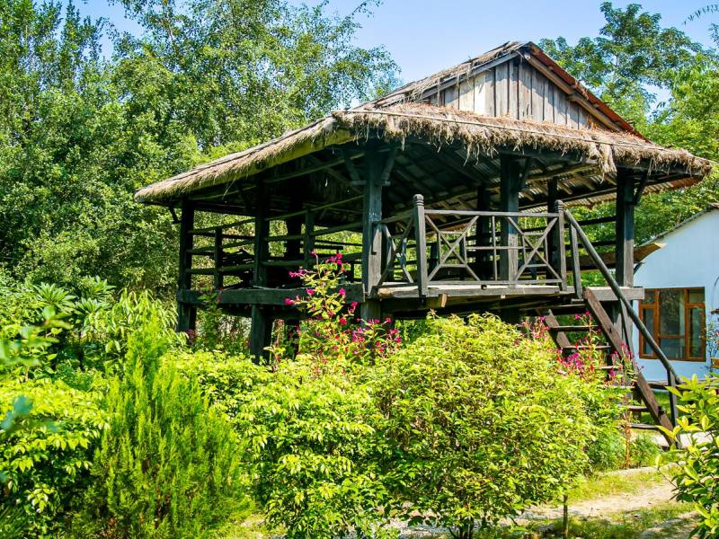 Island Jungle Resort |  Gagan Thapa, Island Jungle Resort / Chamleon