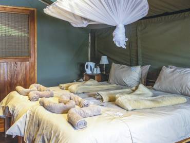 Ndhovu Safari Lodge |  Beate Schwippert, Ndhovu Safari Lodge / Chamleon