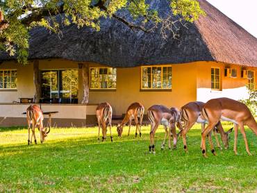 Pretoriuskop Camp |  Johannes van Niekerk, SANParks / Chamleon