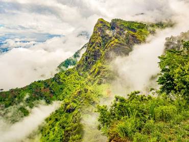 Usambara Berge