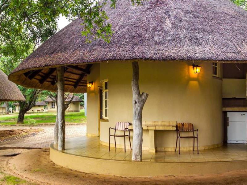 Satara Rest Camp |  Satara Rest Camp / Chamleon