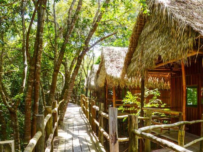 Tariri Amazon Lodge