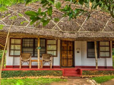 Spice Village |  Spice Village / Chamleon