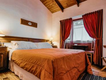 Cauquenes de Nimez Hostera |  Cauquenes de Nimez Hostera / Chamleon